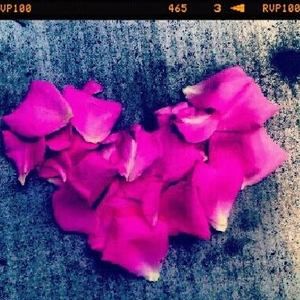 Meet your Posher, Lizzy